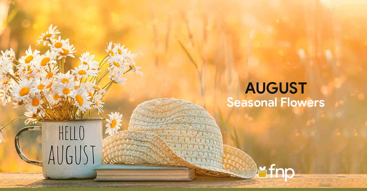 August Seasonal Flowers