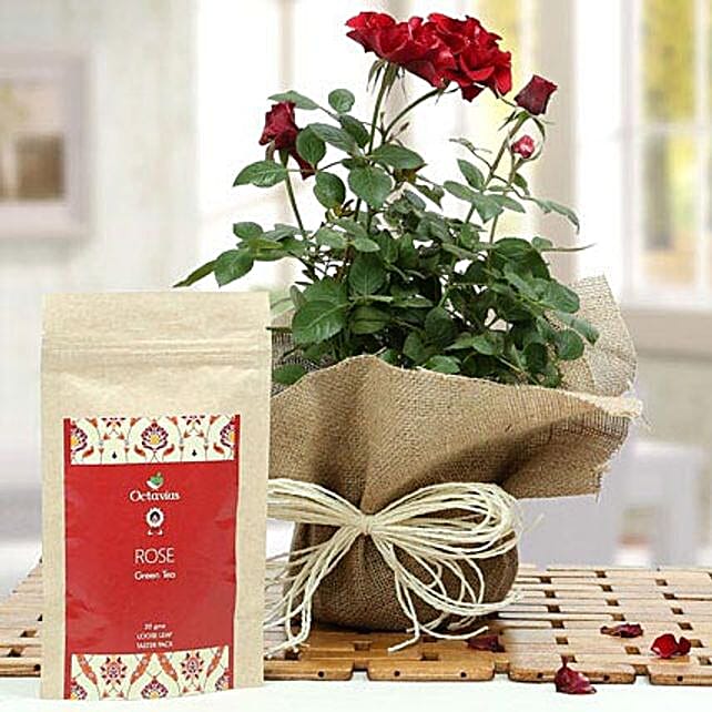 Rose Tea